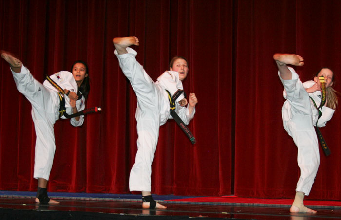 1-ace2014dc-taikwondo.jpg