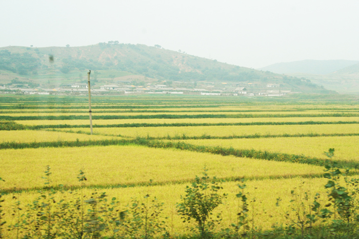 Copy (6) of 99event-senyangtrain04.jpg