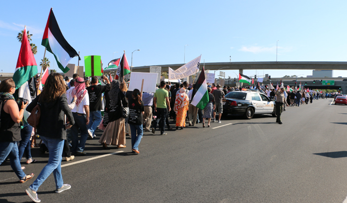 palestein2014rallty-parade06.jpg