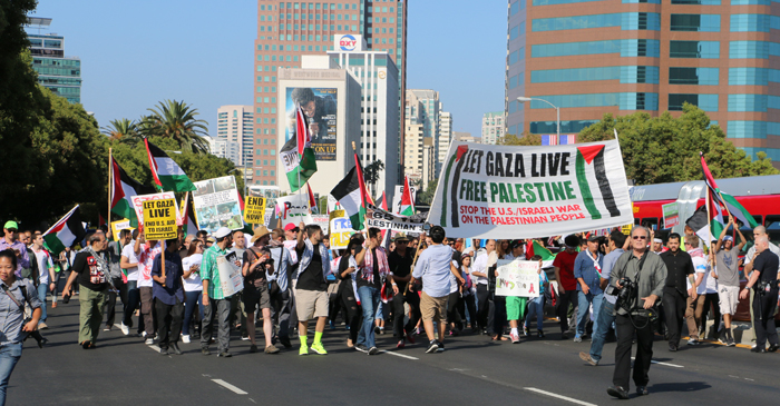 palestein2014rally-parade.jpg