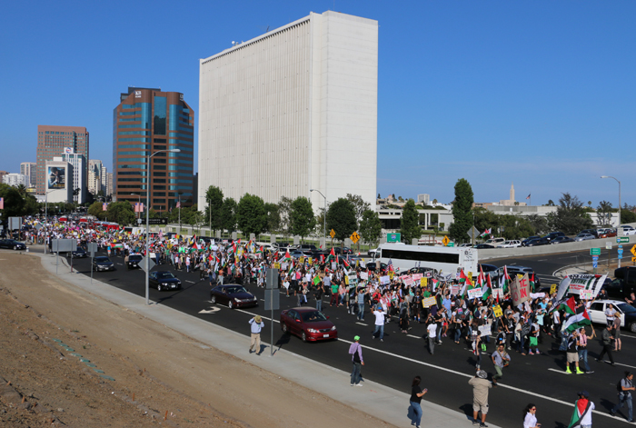 palestein2014rally-parade03.jpg