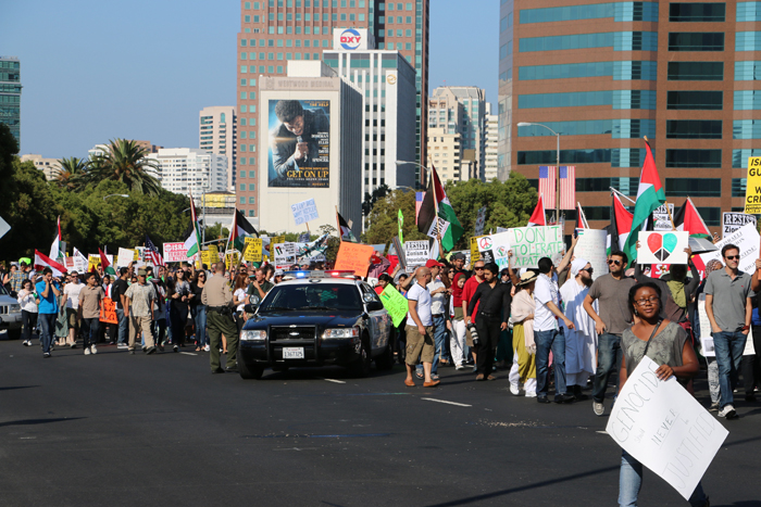 palestein2014rally-parade05.jpg