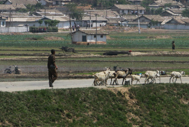 1-apy2015-farm000001.jpg