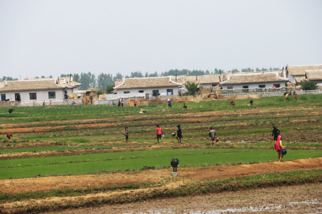 1-apy2015-farm00002.jpg